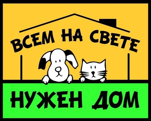 Неоновые надписи на черном фоне