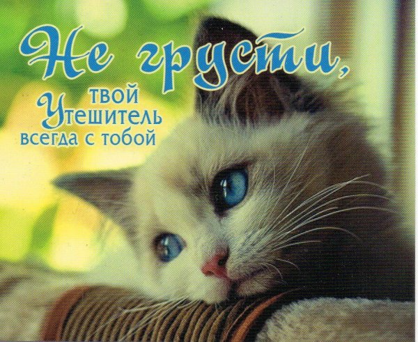 Открытка "не грусти!"