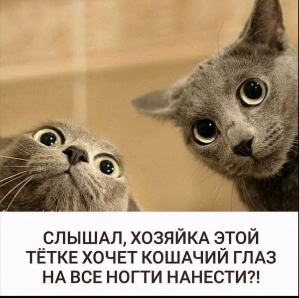 Кто здесь?