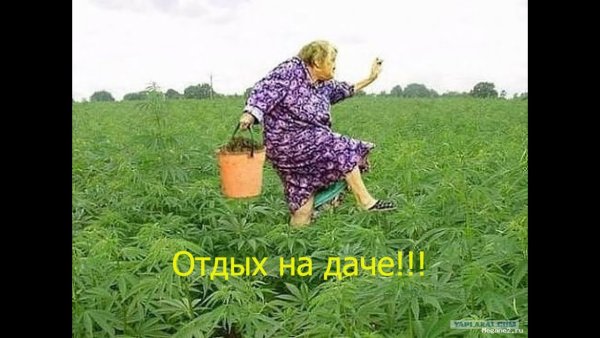 Чуйская Долина границы