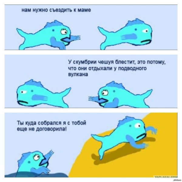 Эволюция прикол