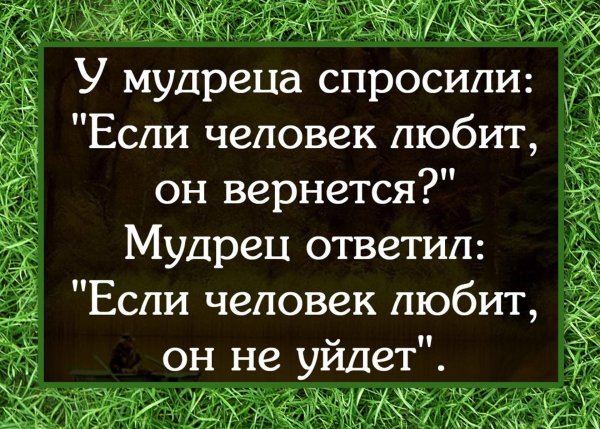 Фразы про обиду