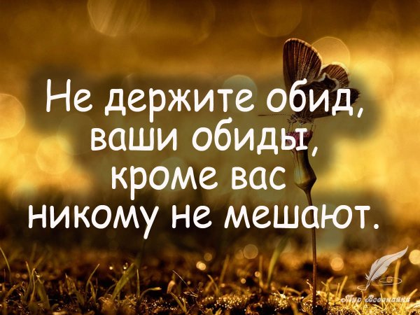 Цитаты про обиду