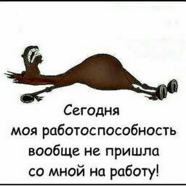 Уставшая лошадь