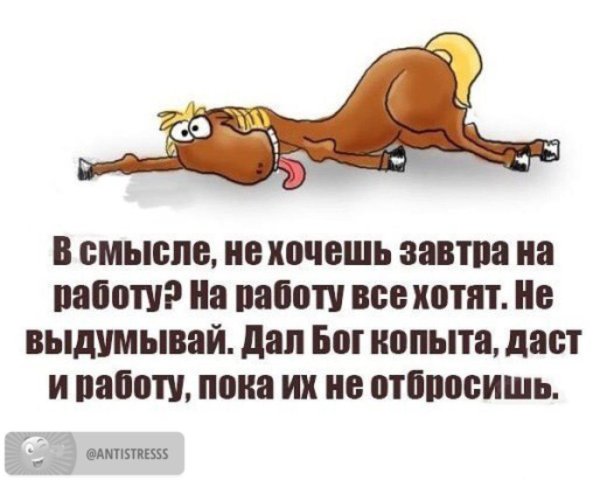 Статусы про работу