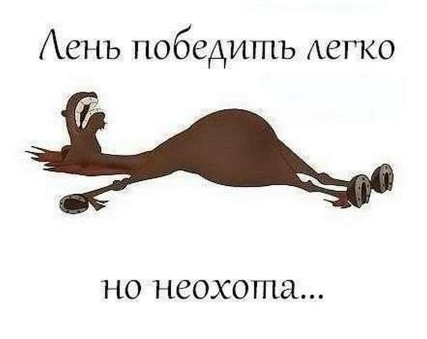 Уставшая лошадь