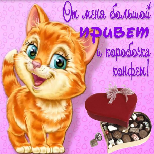 Открытки привет прикольные