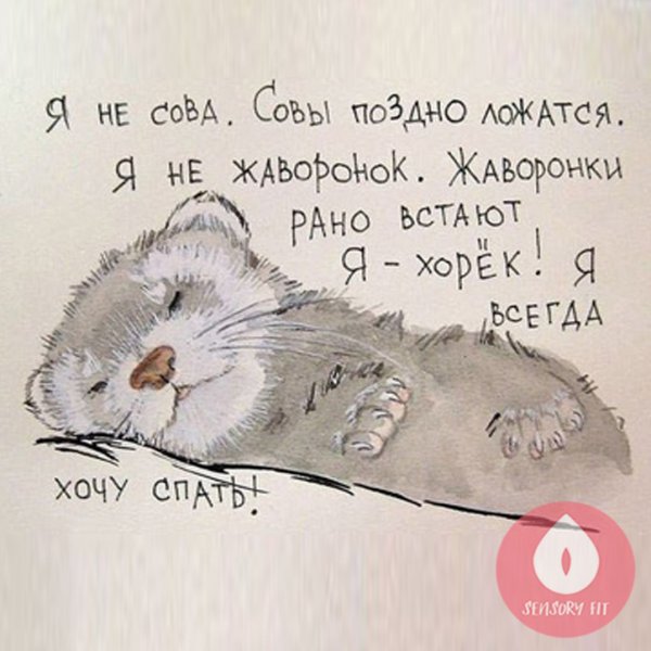 Смешные высказывания про сон