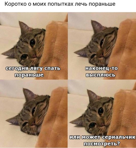 Сегодня спать пораньше