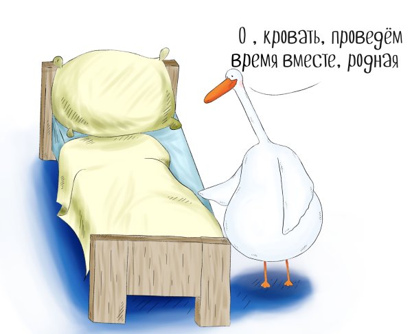 Как провести выходные картинки прикольные