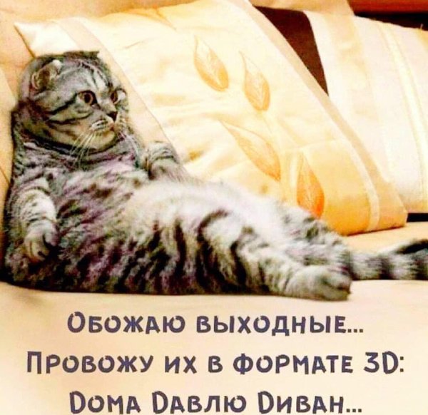 Выходные цитаты смешные