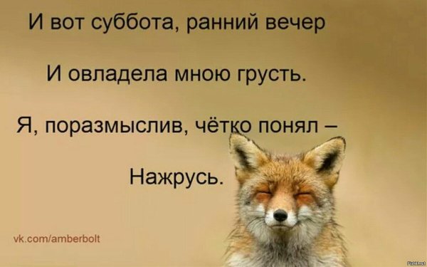 Цитаты про субботу
