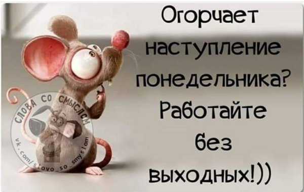 Понедельник приколы