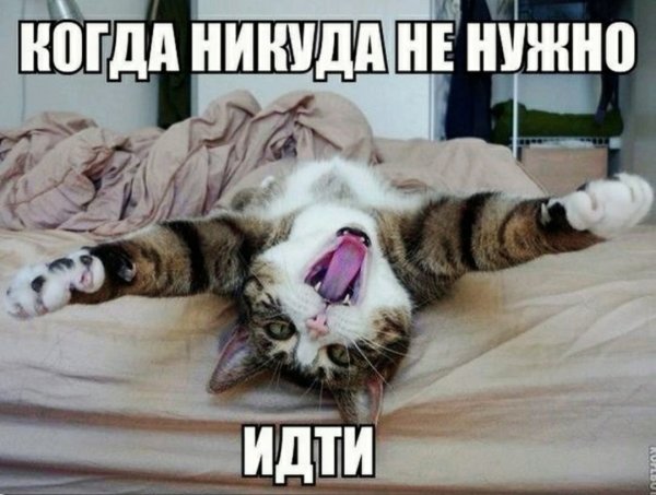 Просыпаемся прикольные
