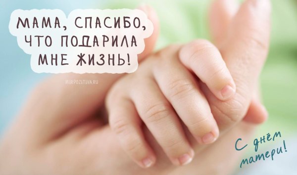 Ладонь взрослого и ребенка