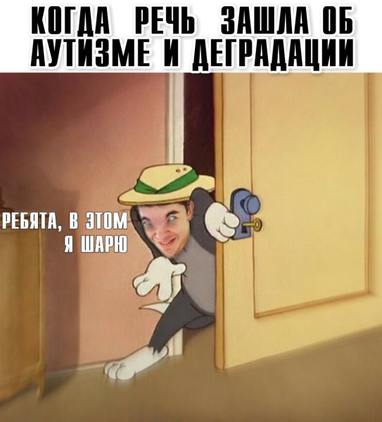 Мем кота ребят я в этом шарю