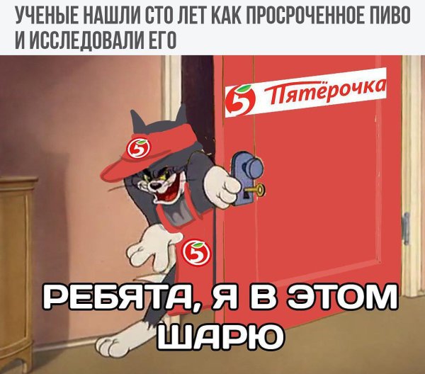 Удивленный кот с микрофоном