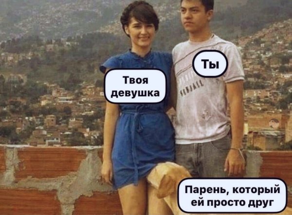 Шутки про собак