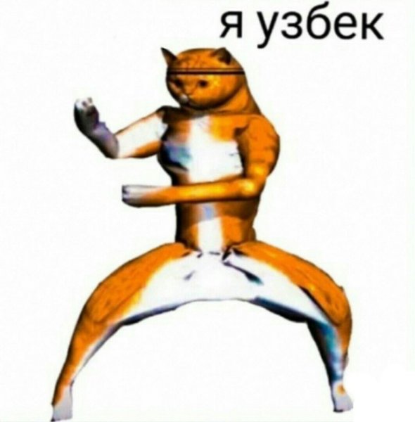 Привет я узбек