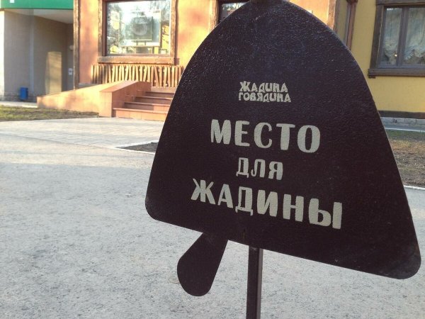 Жадина говядина прикол