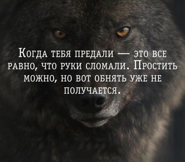 Раздавленная бабочка в руке