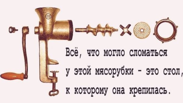 Мемы с котами и надписями