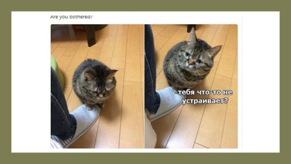 Надпись на песке на море