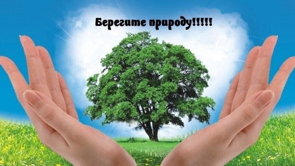 Природа берег