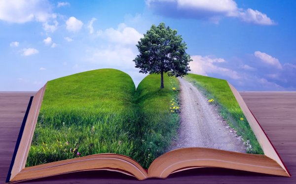 Открытая книга на фоне природы