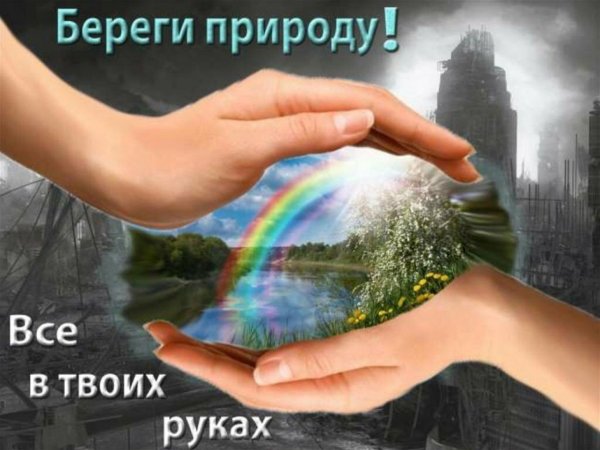 Природа берег