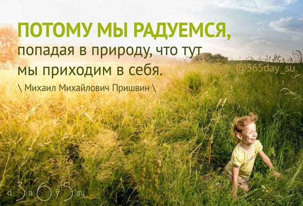 Цитаты про природу