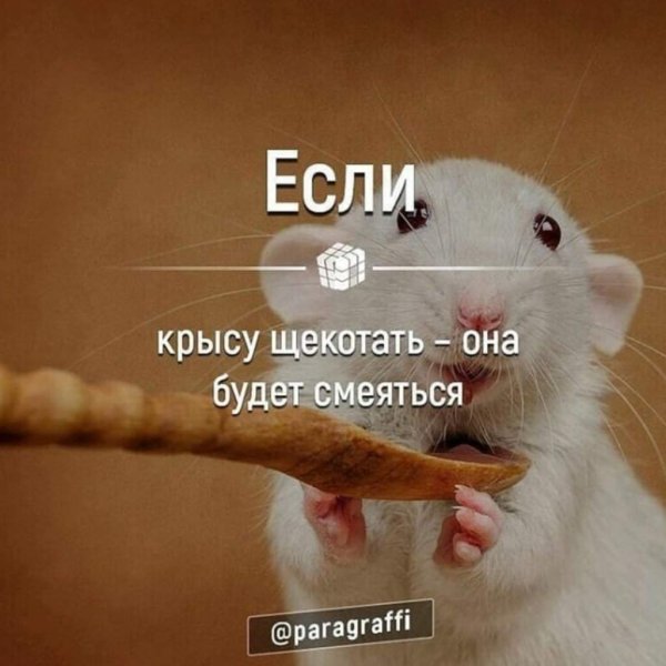 Надпись крыса