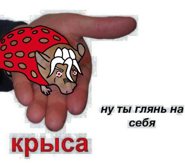 Фуго крыса Мем
