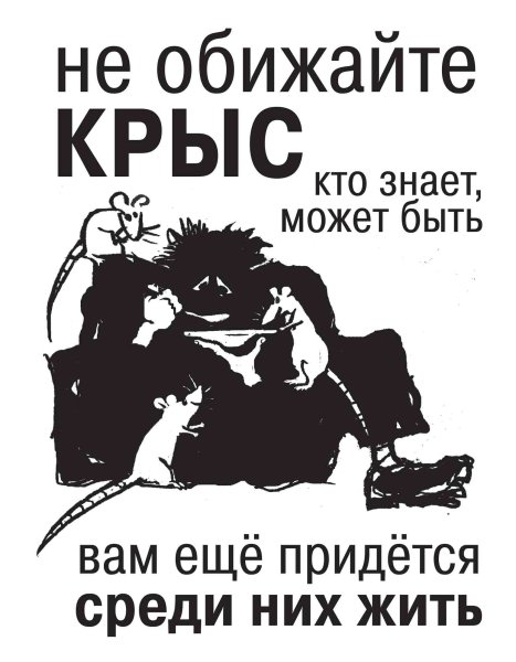 Цитаты про крыс