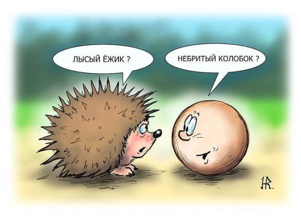 Ежик прикол
