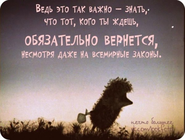 Цитаты из ежика в тумане