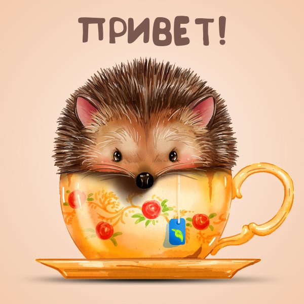 Мультик Ежик в тумане