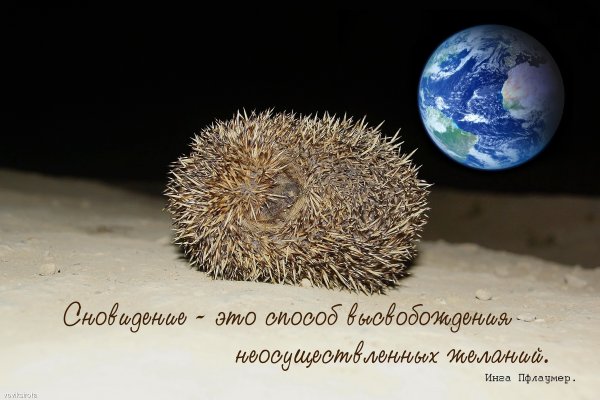 Ёжик не злой