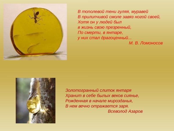 Балтийское море янтарь