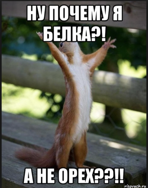 Слава тебе Господи