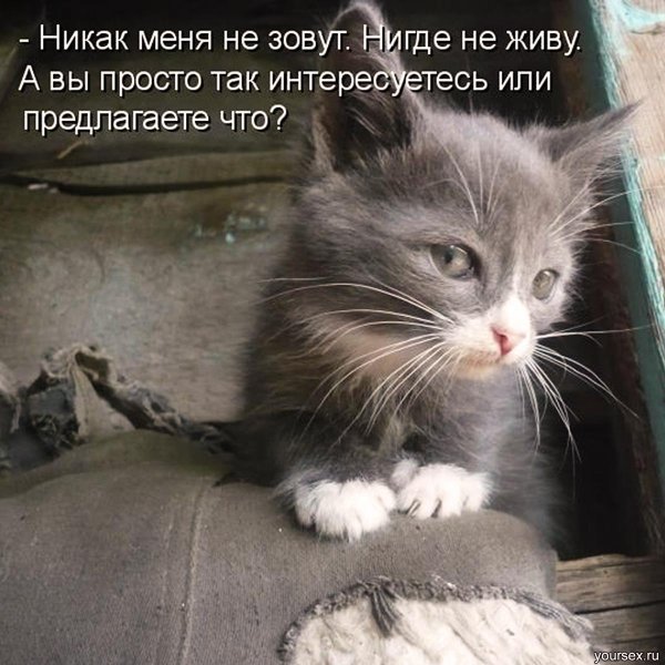 Прикольные фото точно!