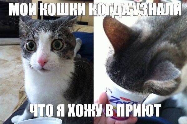 Да не бред какой-то