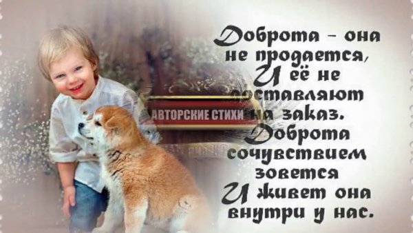 Цитаты про добро