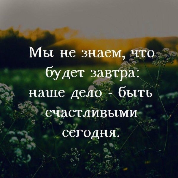 Короткие цитаты