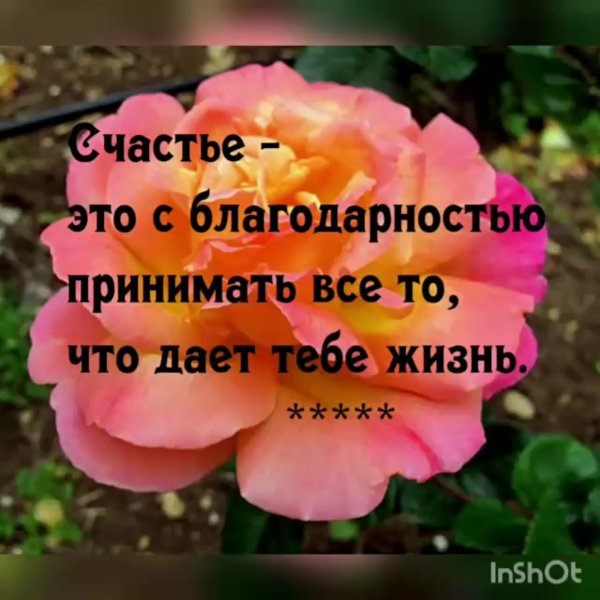 Статусы про счастье красивые