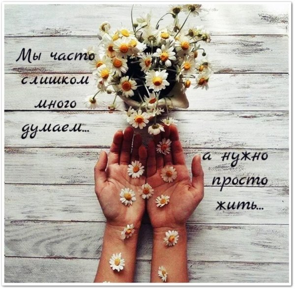Надо просто жить