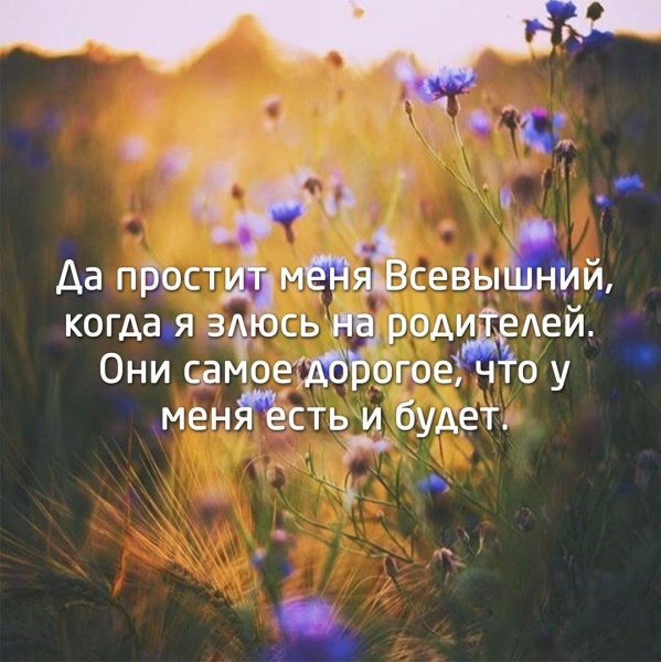 Красивые цитаты