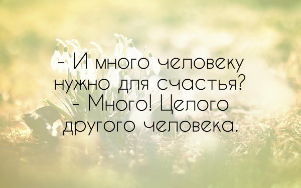 Красивые цитаты