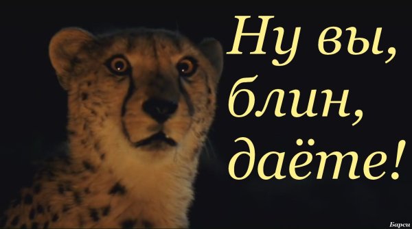 Простите меня пожалуйста