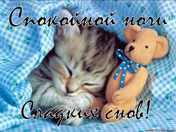 Стихи спокойной ночи